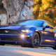 Image: Ford